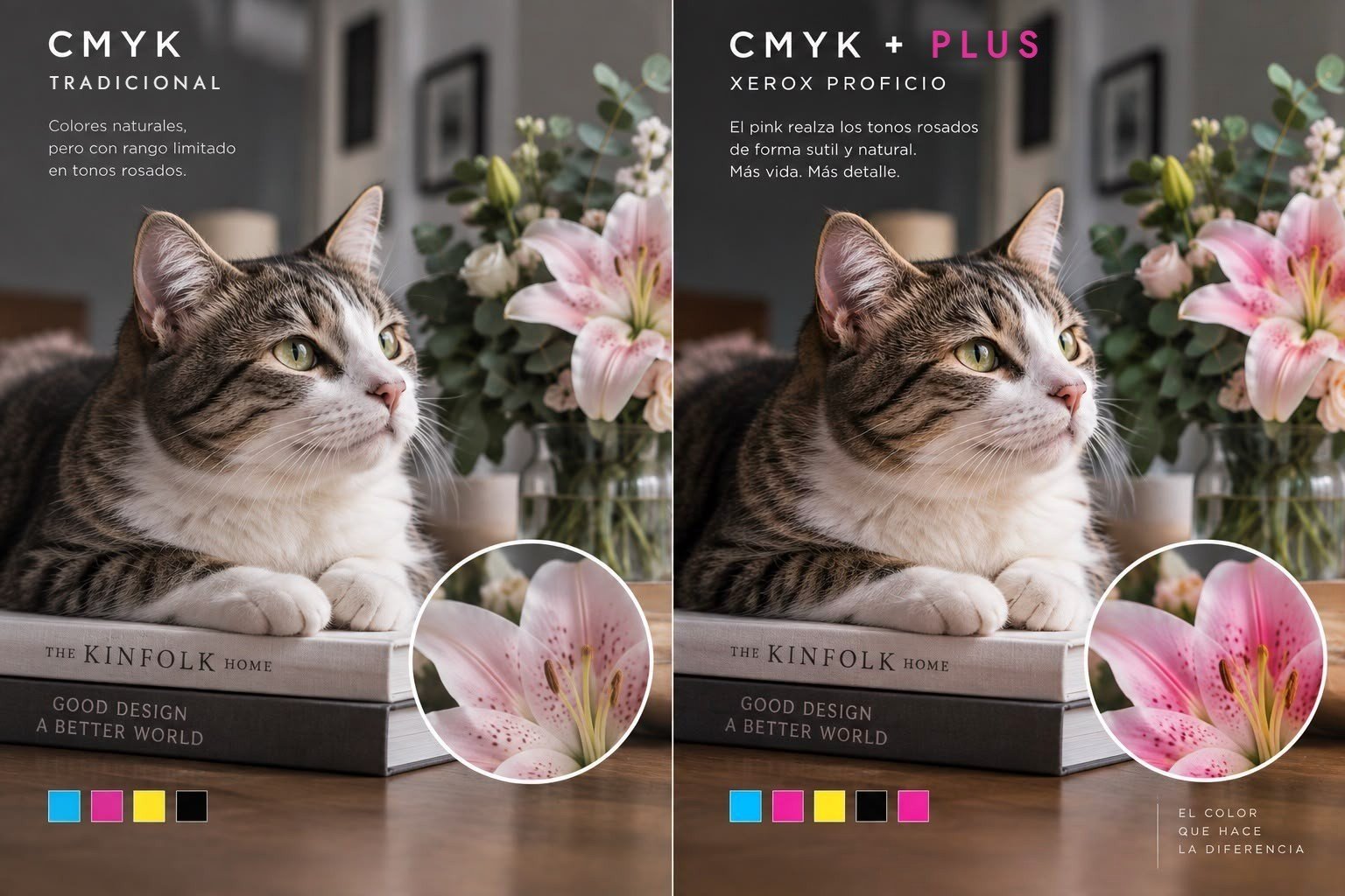 Gato y lirios: CMYK tradicional vs CMYK Plus