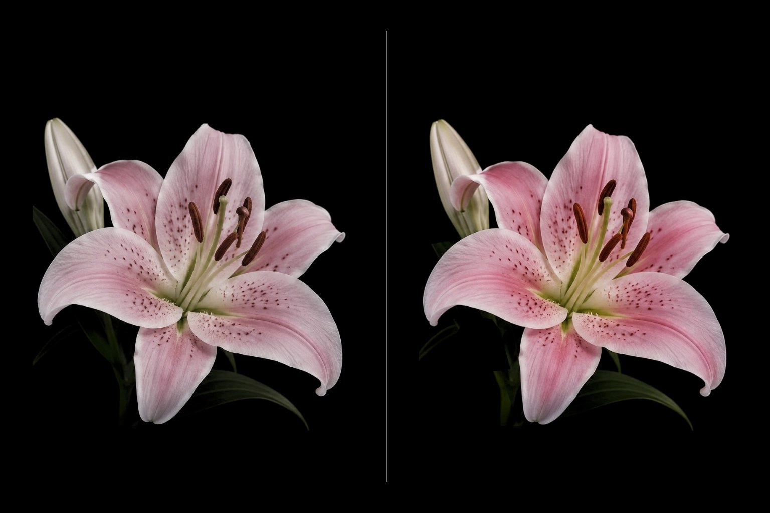 Comparación: CMYK tradicional y CMYK Plus en Xerox Proficio